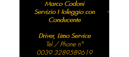 Marco Codoni Servizio Noleggio con Conducente Driver Service